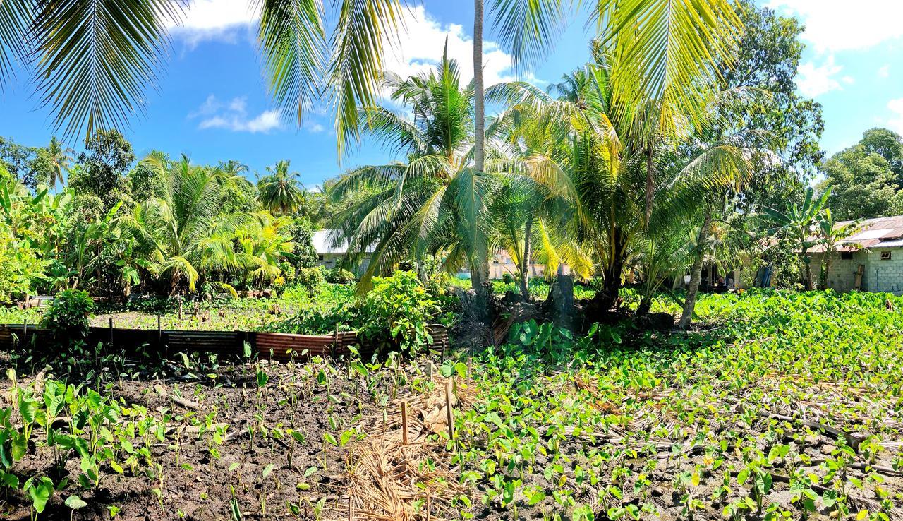 Veyli Residence Maldives, Fuvahmulah Addu City Eksteriør billede